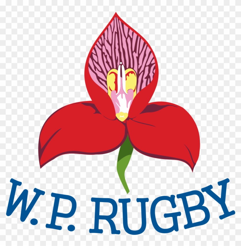 Western Province Rugby Logo #6306