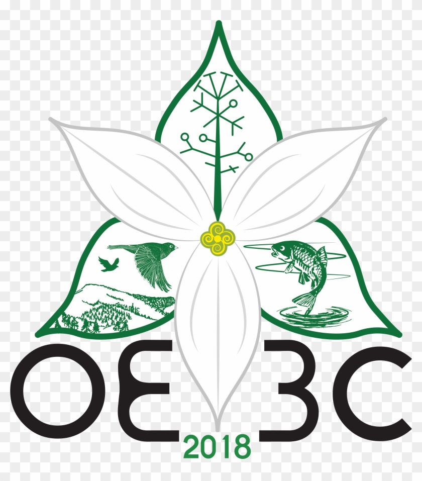 Oe3c Logo - University #6578