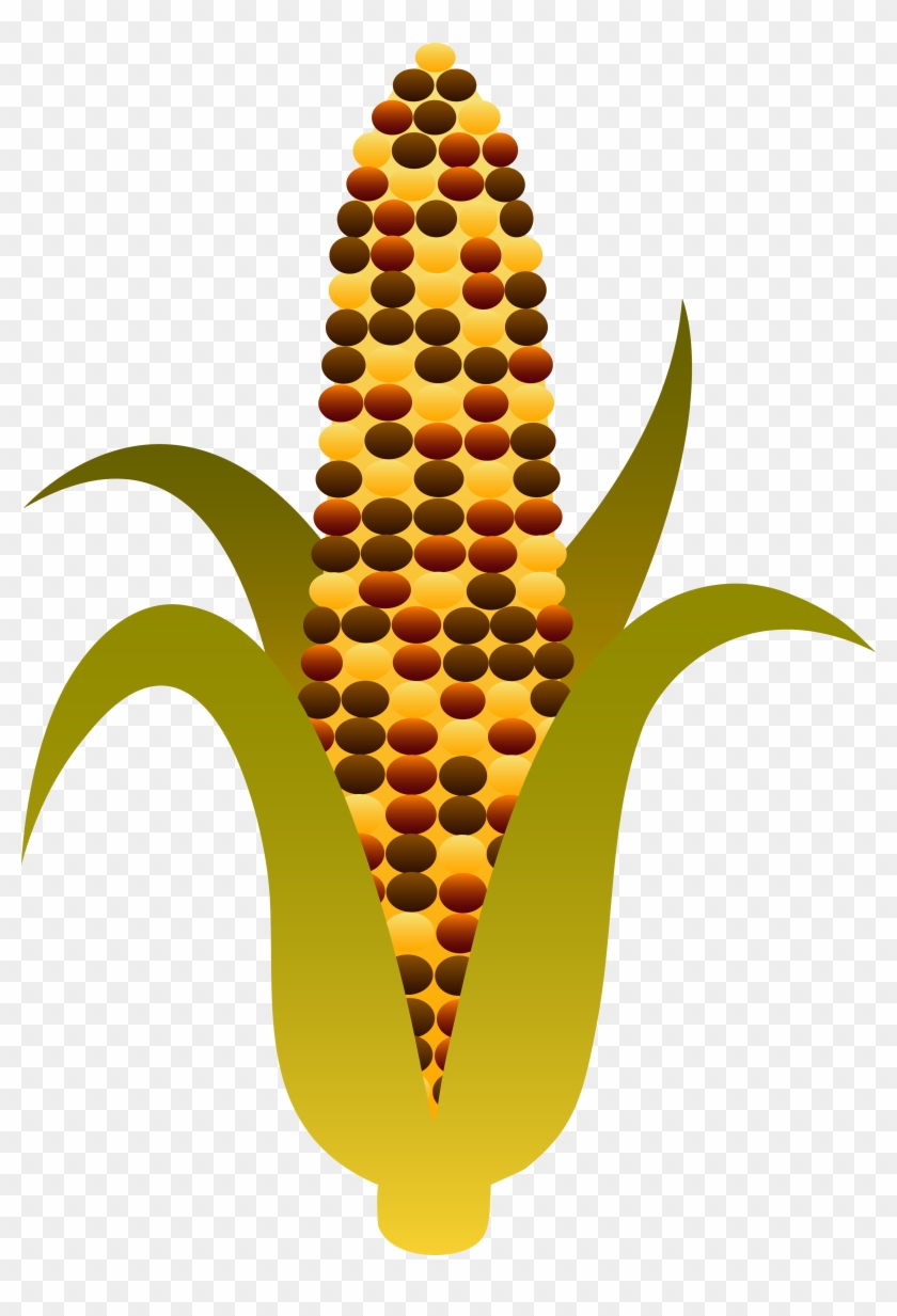 Indian Harvest Corn Maize - Indian Corn Clipart #6601