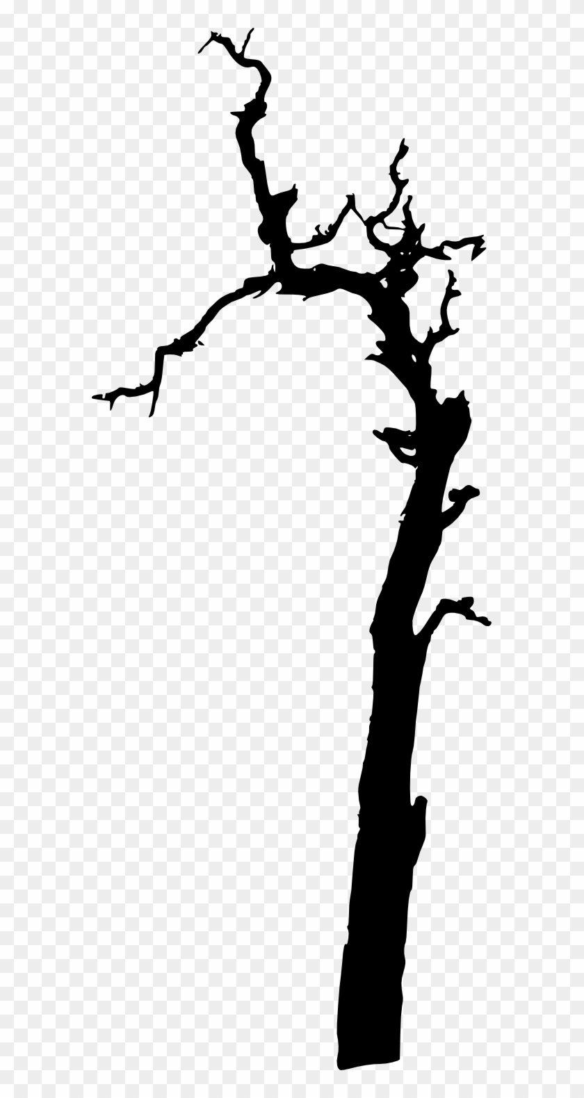 17 Dead Tree Silhouette - 17 Dead Tree Silhouette #67