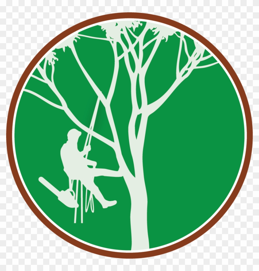 Paul The Tree Climber - Tree Climber Logo #745
