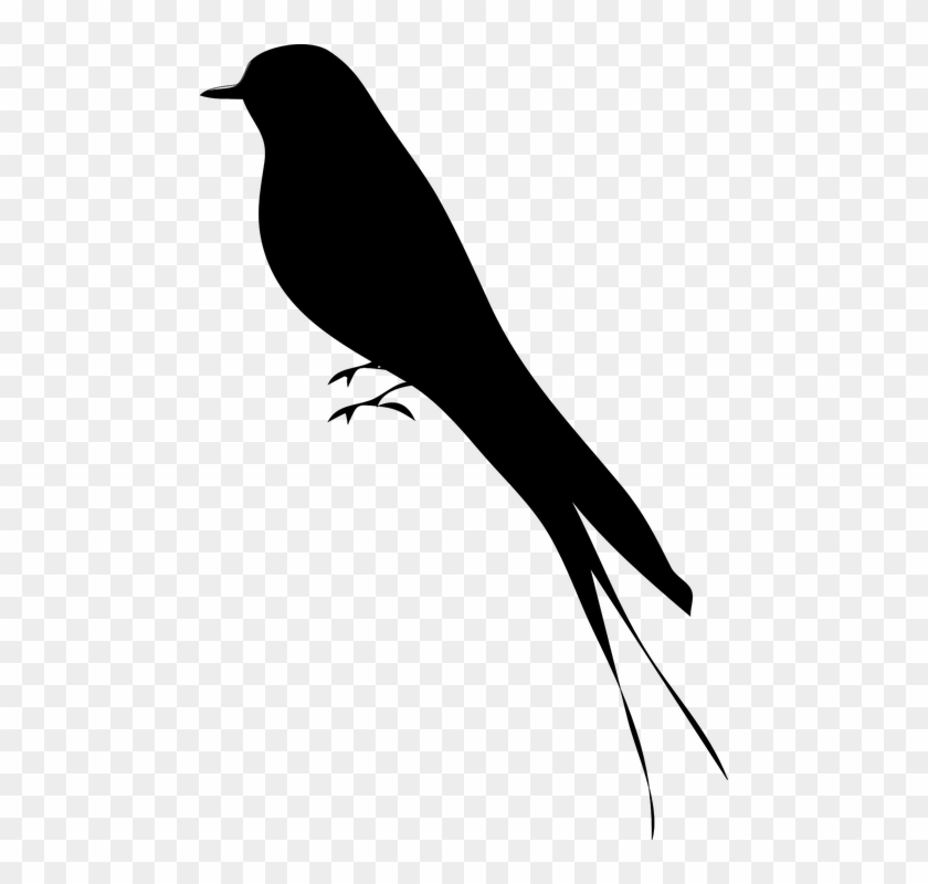 Free Vector Bird Stand Tree Vine Silhouette Clip Art - Bird Silhouette #668