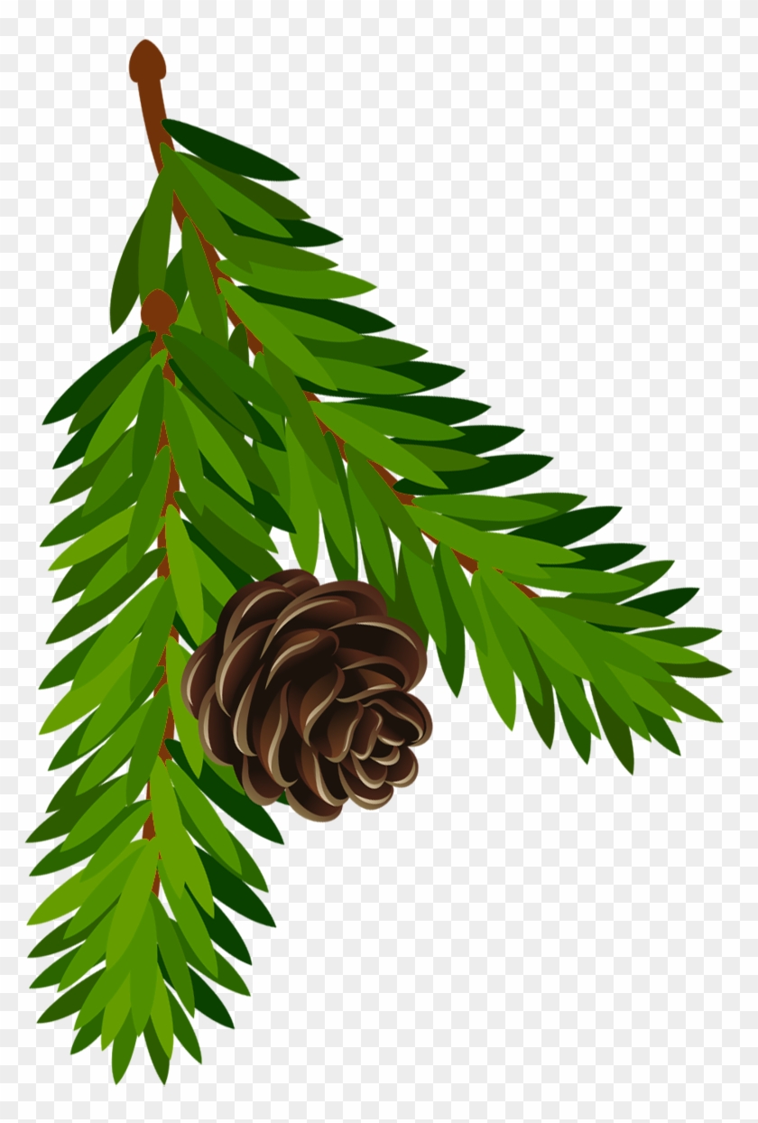 Pine Cone Branch Clip Art Pine Tree Branch Clipart - Pine Branch Clipart #702