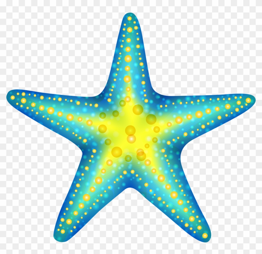 Blue Starfish Png Clip Art - Starfish Clipart Png #6959