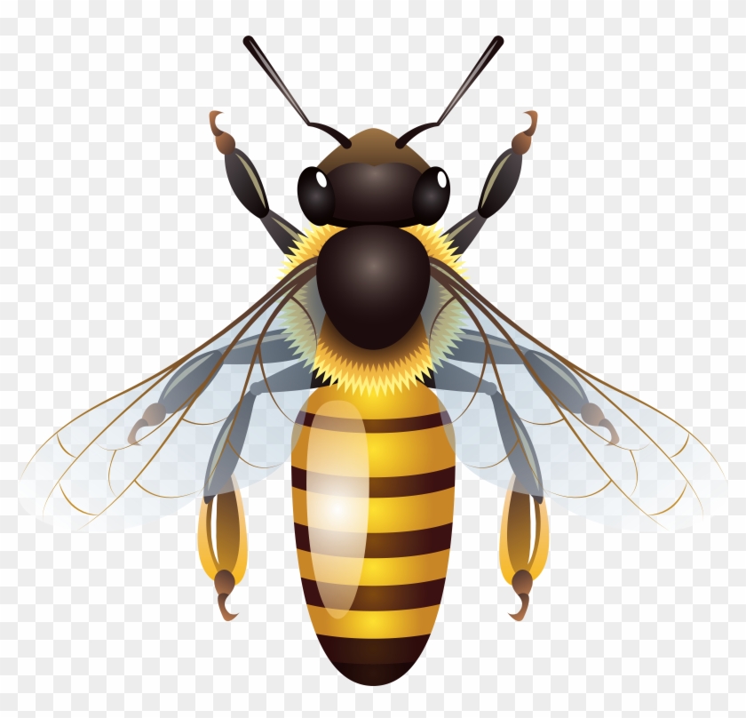 Bee Png Clip Art - Bee Png Clip Art #7073