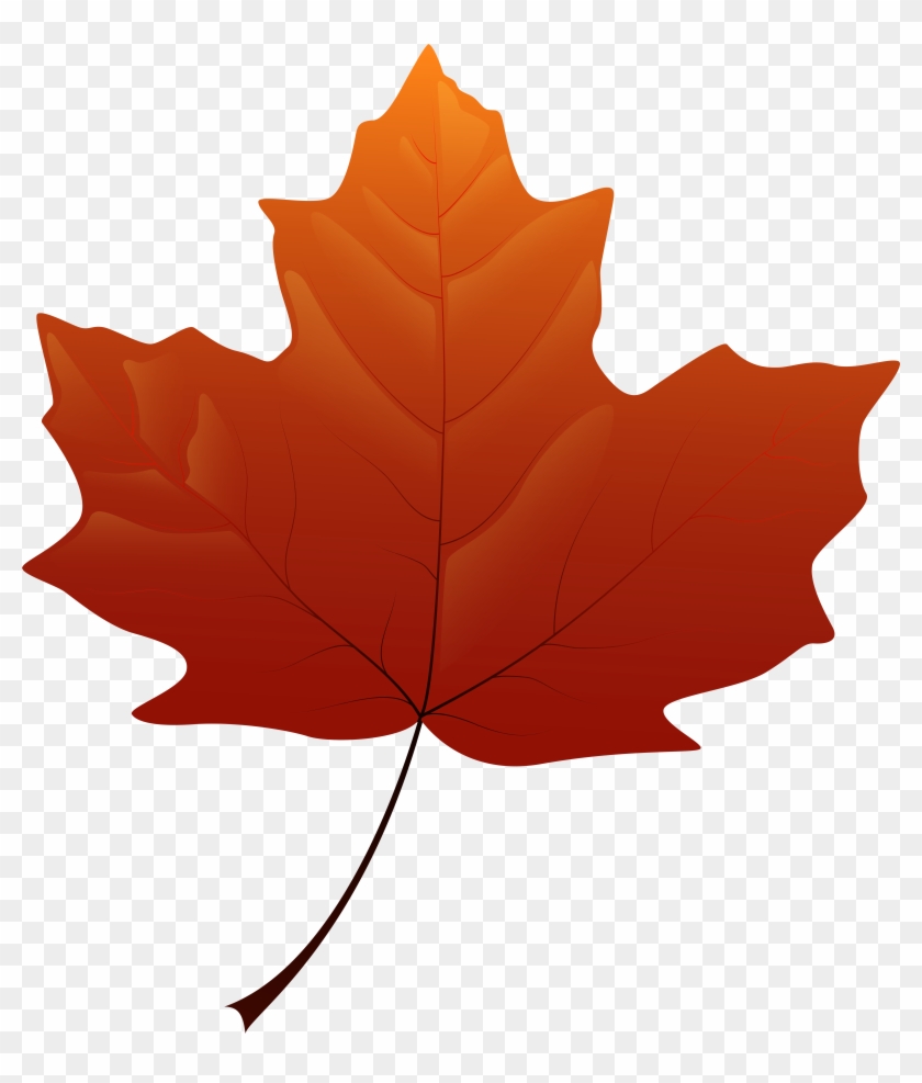 Autumn Leaf Png Clip Art - Autumn Leaf Png Clip Art #775