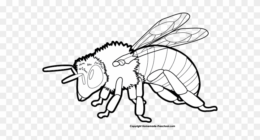 Bee Clip Art - Clip Art #7790