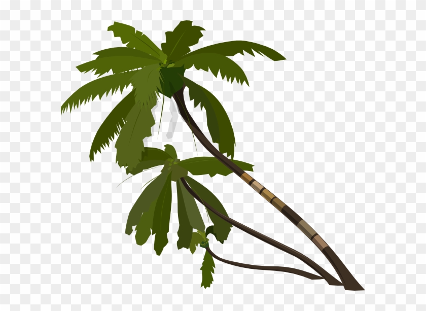 Jungle Tree Vector Png #796