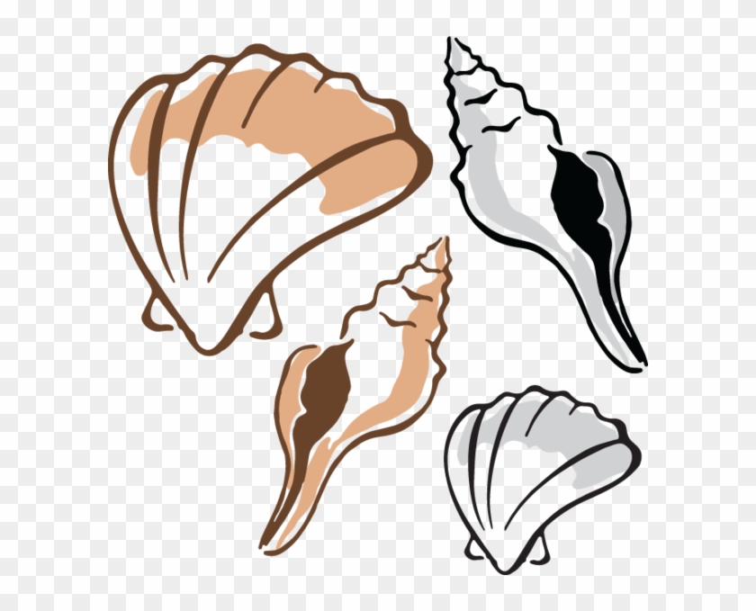 Clip Art - Clam #7898