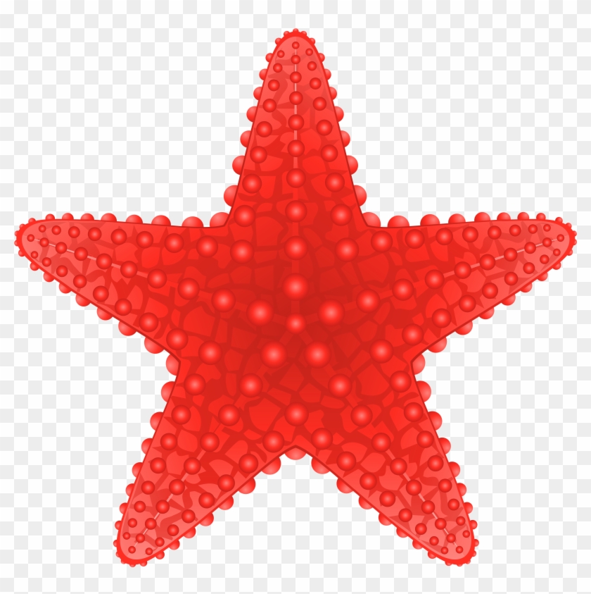 Starfish Transparent Clip Art Image - Starfish Clip Art Png #7942