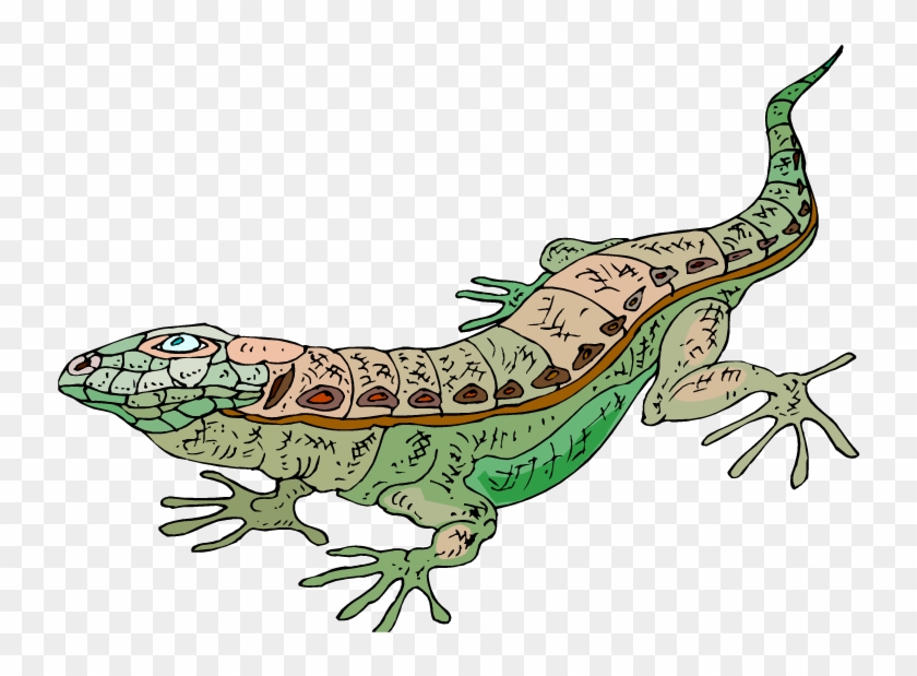 Cartoon Lizard Clipart - Clip Art #7934