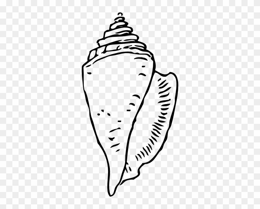 Seashell Clipart - Shell Clip Art Black And White #7949