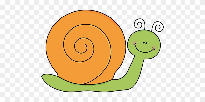 Green And Orange Snail - Snail Clipart #8015