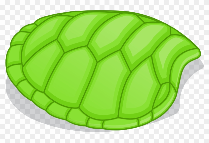 Turtle Shell Clipart #8127