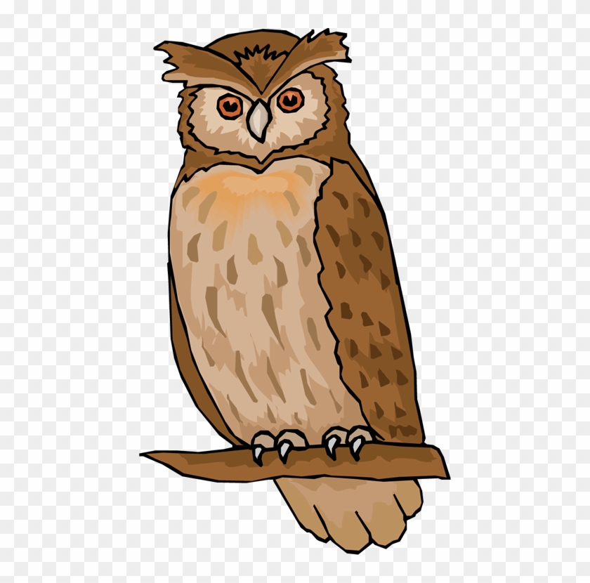 Clipart Of Owl Free Owl Clipart Animations - Owl Images Clip Art #8182