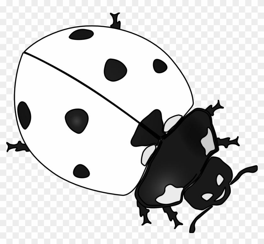 Drawn Ladybug Clip Art - Ladybug Black And White Drawing #8230