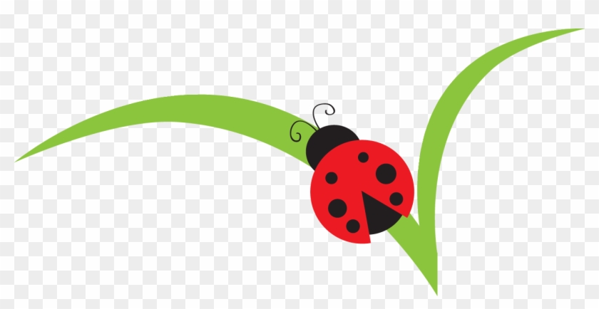 Lady Beetle Clipart Red Ladybug - Clip Art #8246