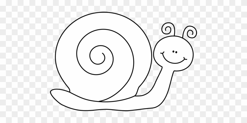 Black And White Snail Clip Art - Black And White Snail Clipart #8284