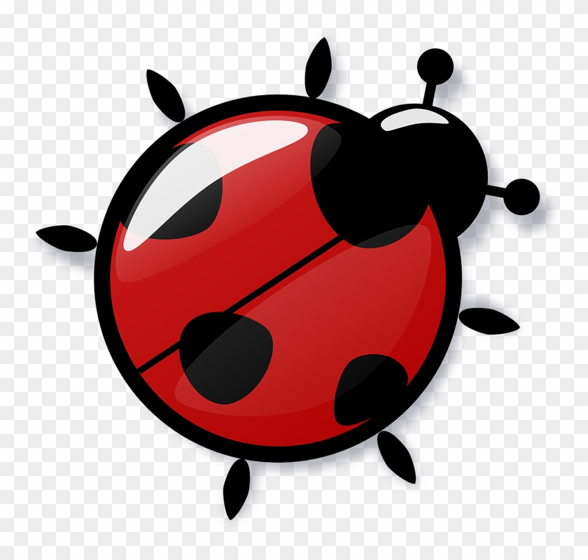 Ladybug Free To Use Clipart - Ladybug Joaninha - Free Transparent