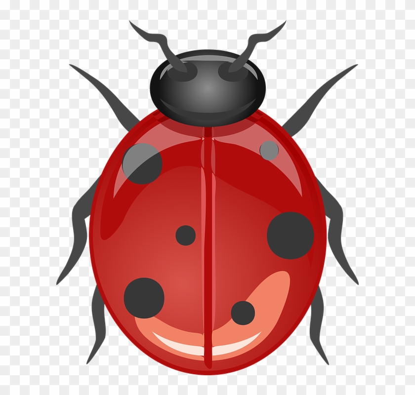 Ladybug Clip Art Free Vector 4vector - Ladybugdesign 60" Curtains #8350