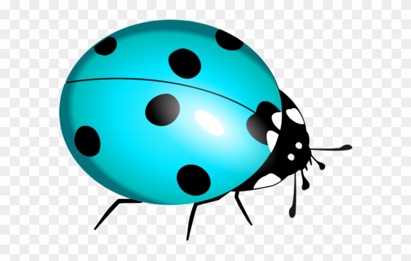 Ladybug Clipart Teal - Lady Bug Clip Art #8351