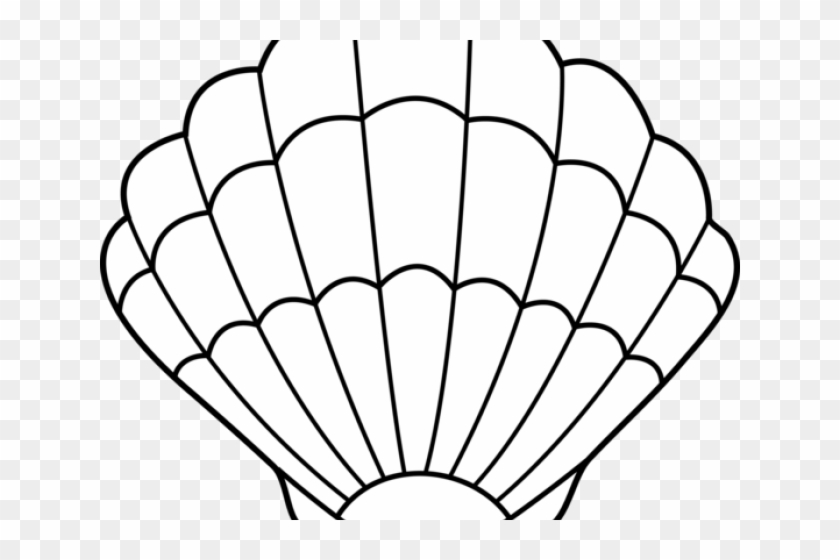 Shell Clip Art - Sea Shell Coloring Pages #8420