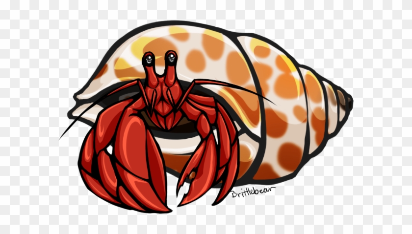 Shell Clipart Hermit - Hermit Crab Clipart Transparent #8449