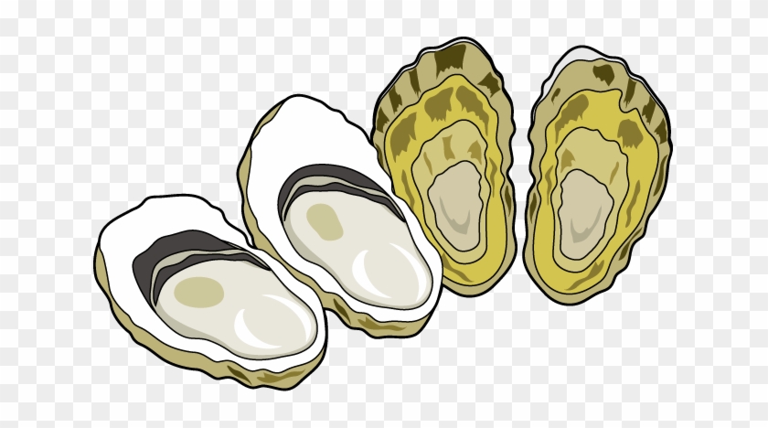 Oyster Clip Art - Oyster Clipart - Free Transparent PNG Clipart Images Do.....