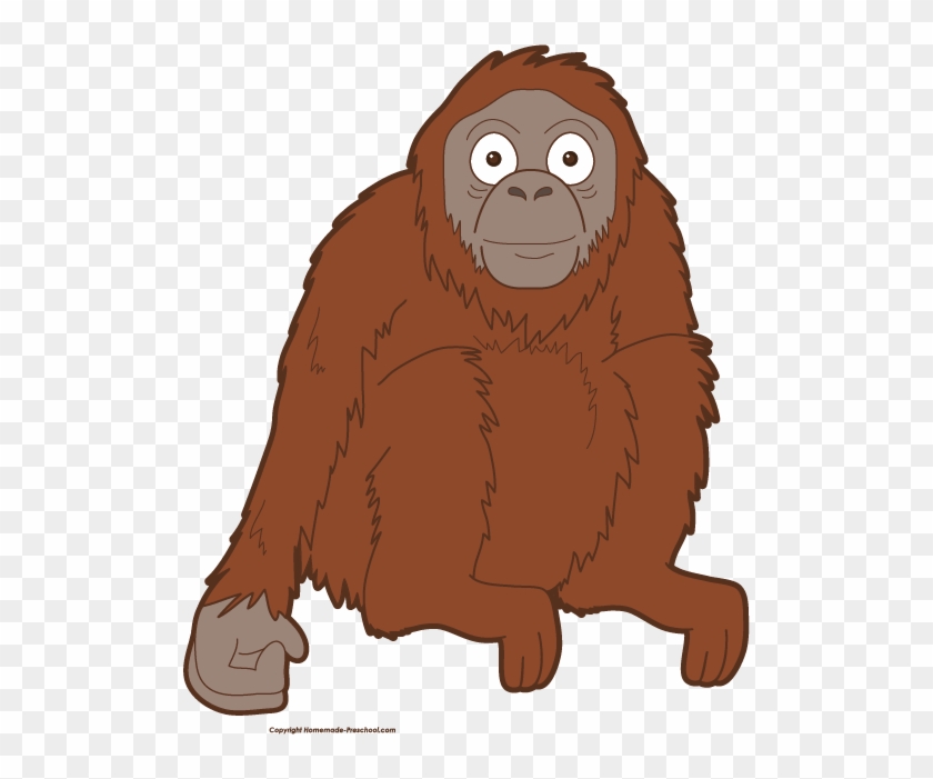 Click To Save Image - Orangutan Clipart Png #8674