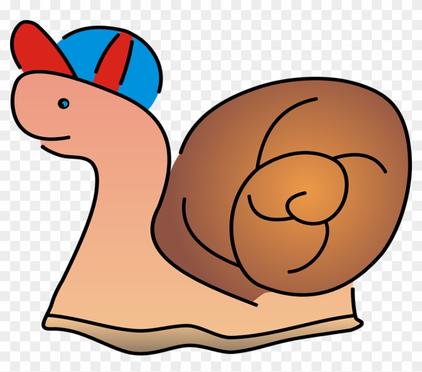 Snail, Crawl, Seashell, Nature, Shell - Spreadshirt Hat #8675