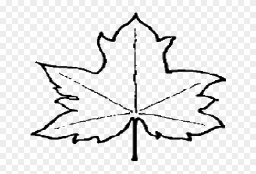 Maple Leaf Outline Clipart 3 Clipart - Outline Of A Leaf #872