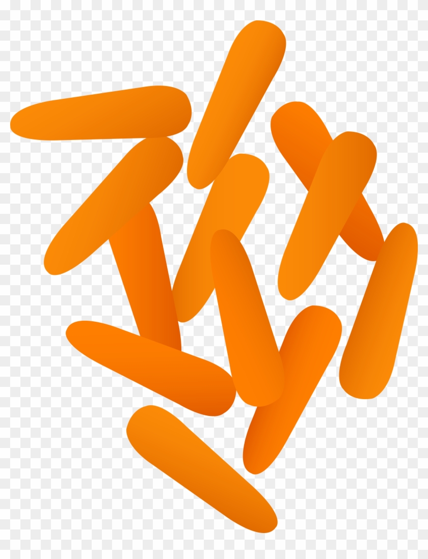Small Orange Baby Carrots - Baby Carrots Clip Art #9431
