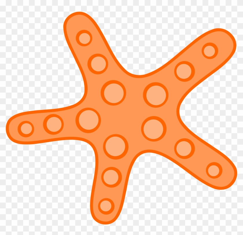 Starfish - Clipart - Sea Star Clipart #9554