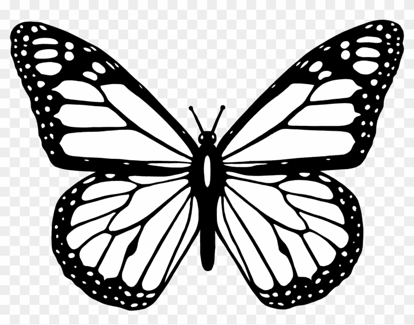 Big Image Monarch Butterfly Coloring Page Free Transparent Png Clipart Images Download