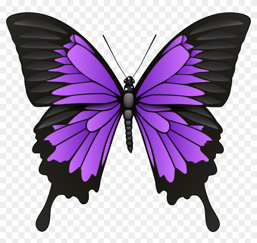 Purple Butterfly Png Clip Art - Purple Butterfly Png Clip Art #9601