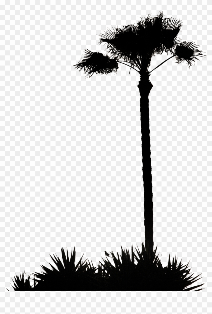 Clip Art Inspiration Palm Tree Silhouette Clip Art - Palm Tree Silhouette .png #9643