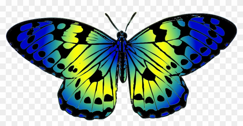 Butterfly Clip Art - Yellow And Blue Butterfly #9660