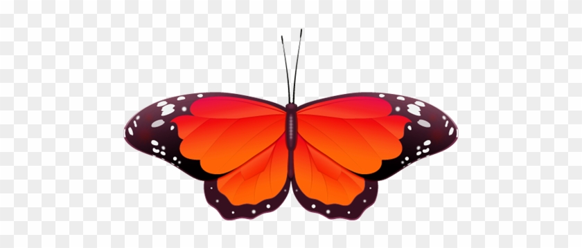 Red Butterfly Clip Art - Red Butterfly #9663