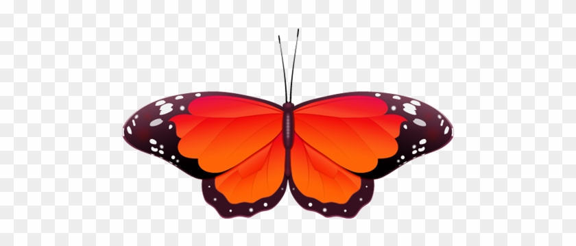 Red Butterfly Clip Art - Red Butterfly #9663