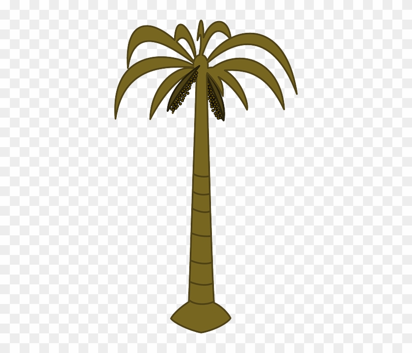 Black, Outline, Drawing, Silhouette, Palm, Tree, White - Palm Tree Clip Art #9667