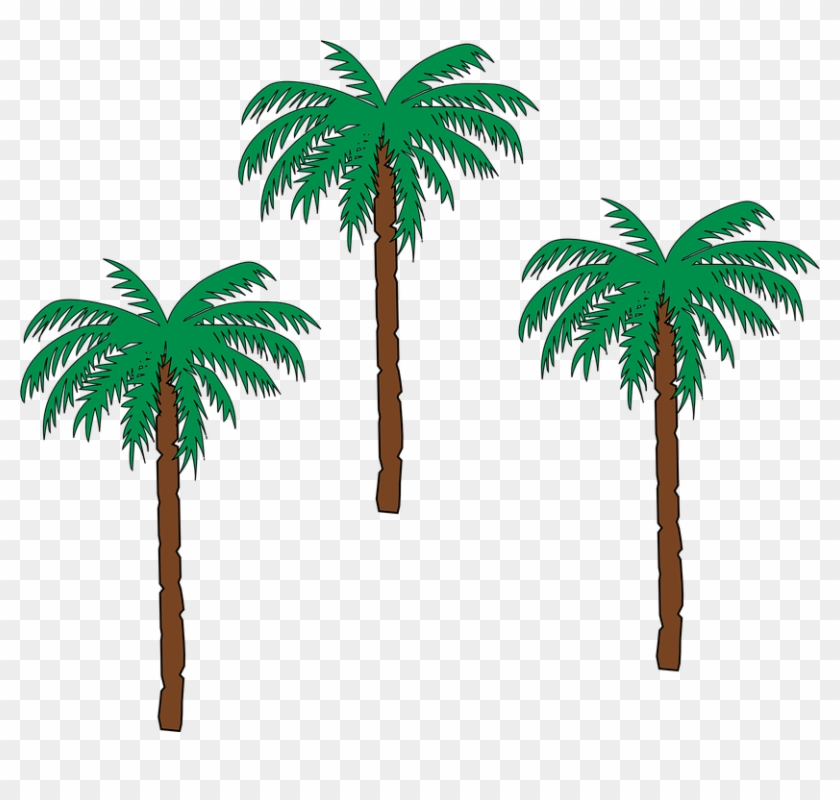 Palm Tree Clipart Pohon - Haiti Coat Of Arms #9669