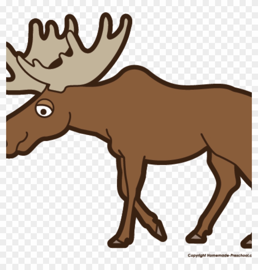 Moose Clipart Top 75 Moose Clip Art Free Clipart Image - Clip Art Of A Moose #9698