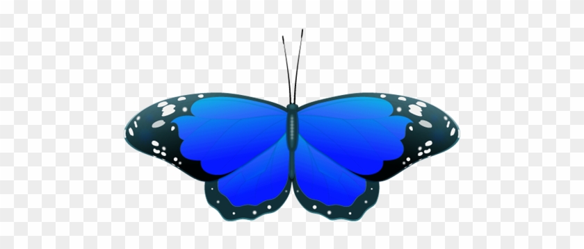 Blue Butterfly Clipart - Clipart Blue Butterfly #9699