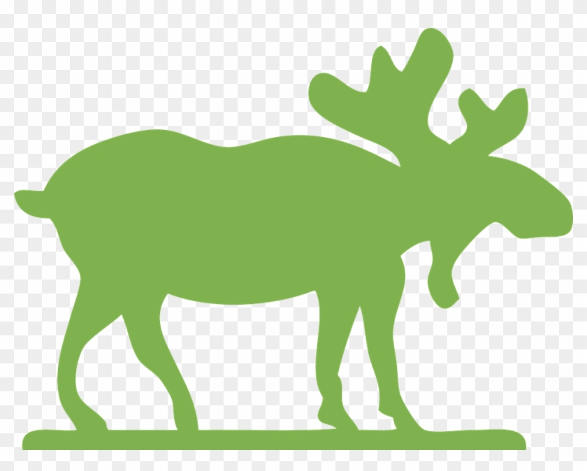 Moose Clip Art #9716