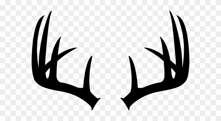 Download Horns Clipart Buck Antler - Deer Antler Clip Art - Free Transparent PNG Clipart Images Download