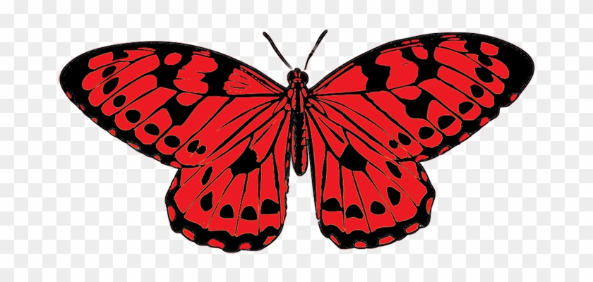 Black Red Butterfly Clip Art Png Clipart - Red And Black Butterfly #9763