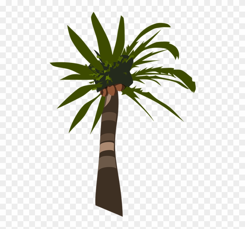 Palm Tree Clipart Pohon - Palm Tree Clip Art #9798