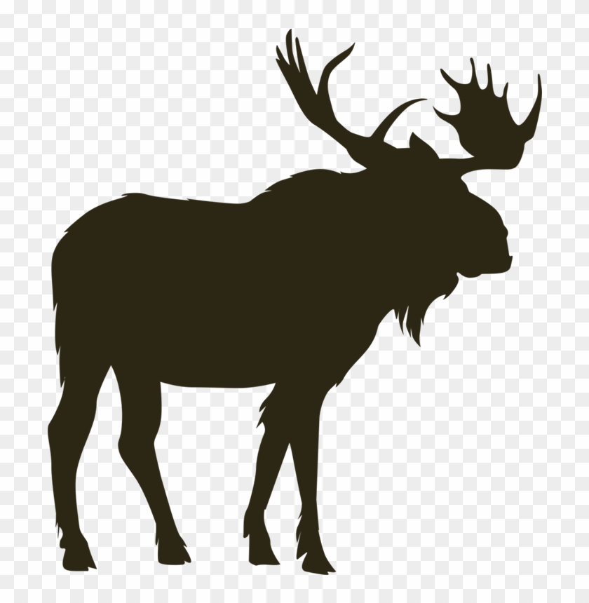 Mountain Goat - Canadian Moose Png #9810