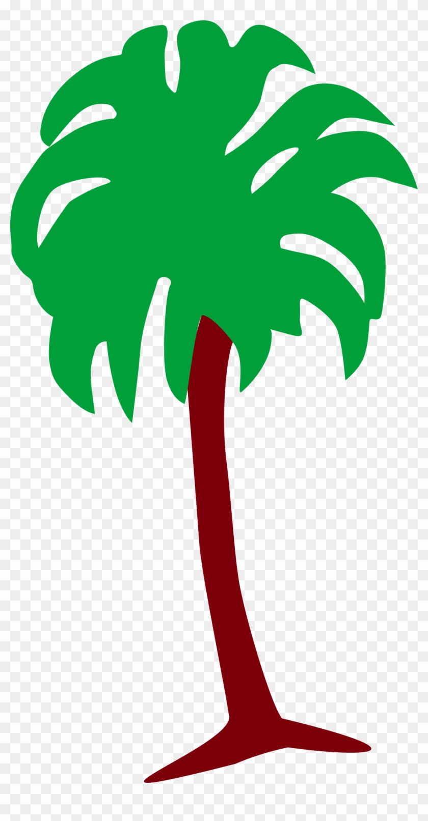 Palm Tree 3 - Tree #9833