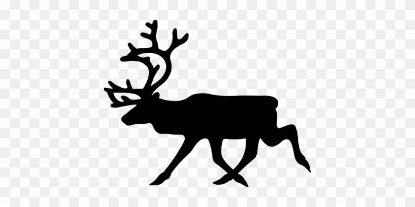 Stag Moose Elk Deer Animal Mammal Moose Mo - Reindeer Black And White #9840